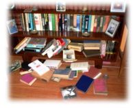 bookcase mess ferret as a pet