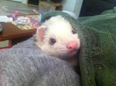 Banjo snuggles were the best. Banjo snuggles were the best.