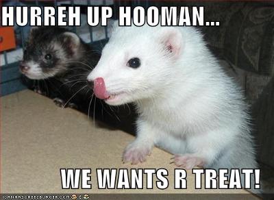 bindi-and-belle-21296774