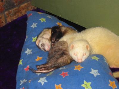 George holding Doris on a bad day George holding Doris on a bad day