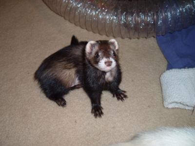 You are my heart! You are my heart!