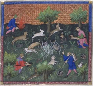 Book of the Hunt ferreting Book of the Hunt ferreting