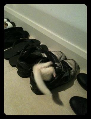 Yuki's Bum Yuki's Bum