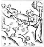 medieval ferreter medieval ferreter