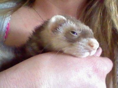 My little lucky charmed I love until we meet again My little lucky charmed I love until we meet again