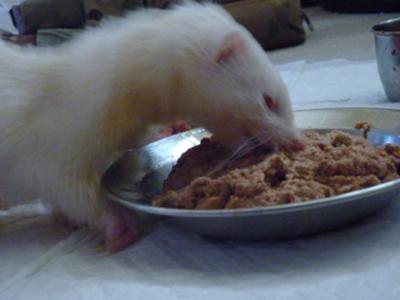 I LUV MY FOOD!! YUM YUM I LUV MY FOOD!! YUM YUM