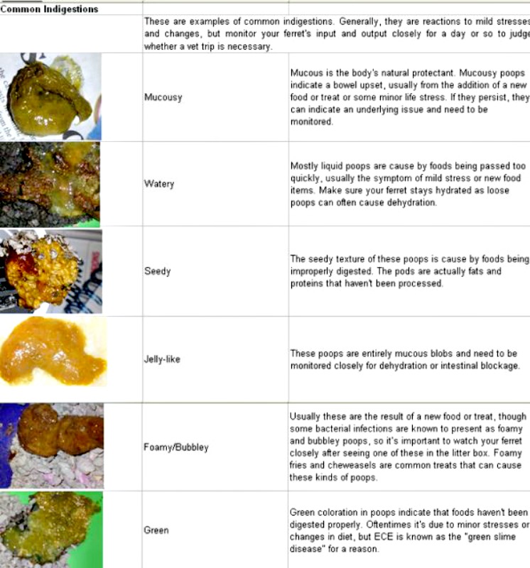 Light Colored Diarrhea Mucus Decoratingspecial Com Coloring Wallpapers Download Free Images Wallpaper [coloring436.blogspot.com]