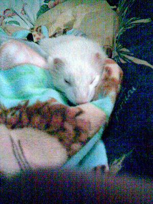 Ruby Tuesday Ruby Tuesday