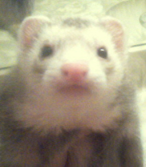 just being nosey. just being nosey.