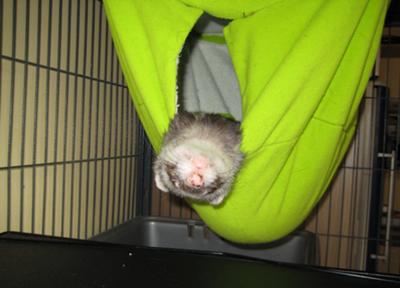 You always slept in funny way You always slept in funny way