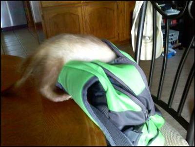 and my backpack and my backpack