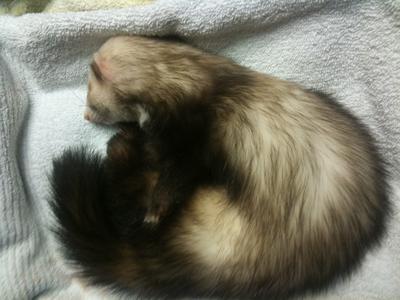 ?-08/06/13 ?-08/06/13