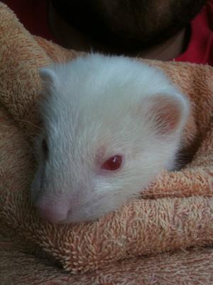 Meet Kumar :) Meet Kumar :)