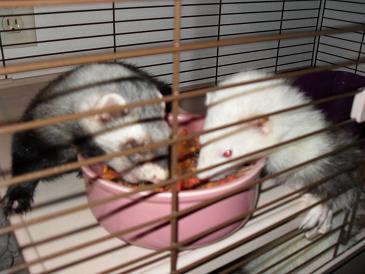 The first time they became friends. The first time they became friends.